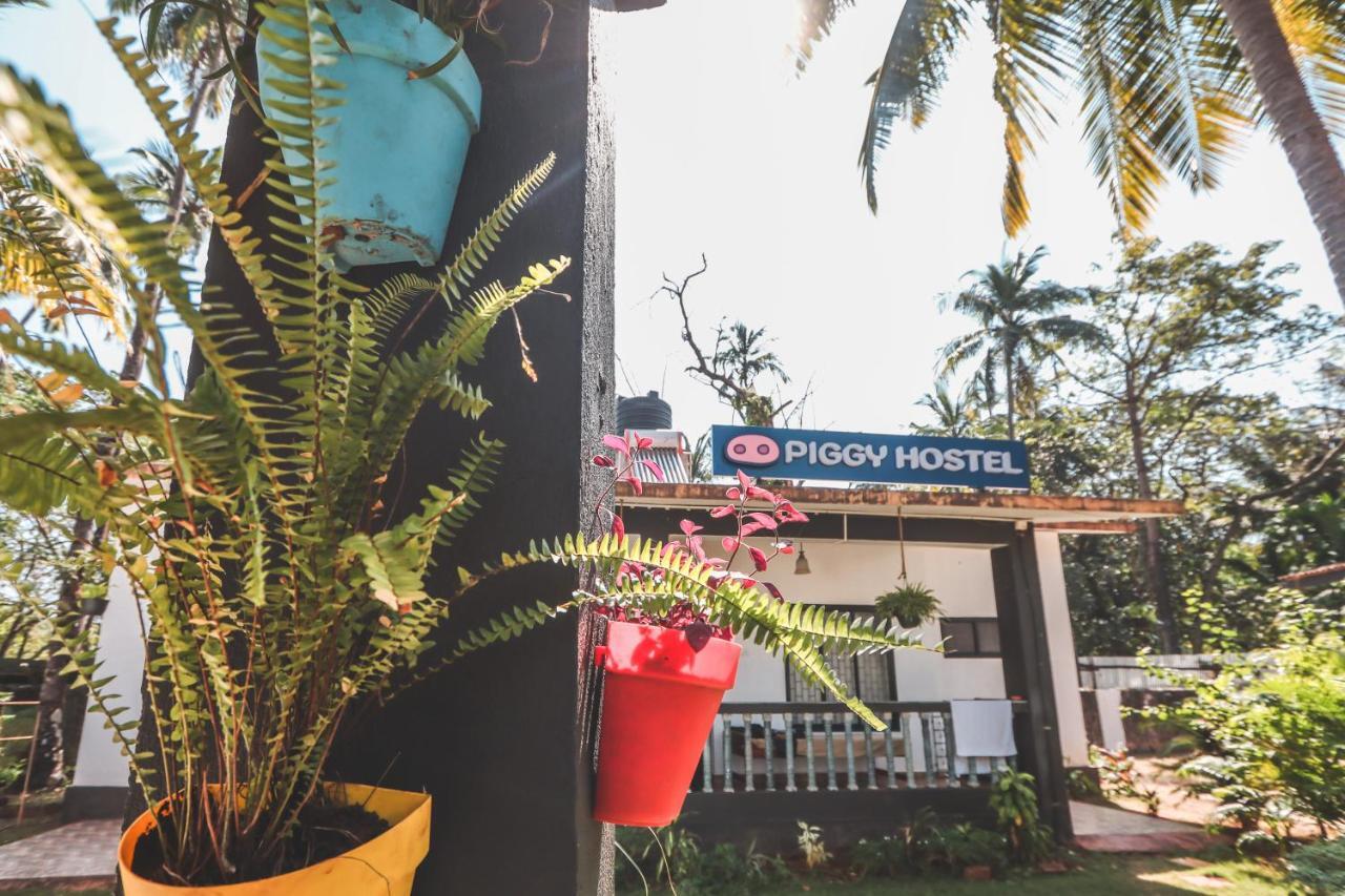 Piggy Hostel Vagator Bagian luar foto