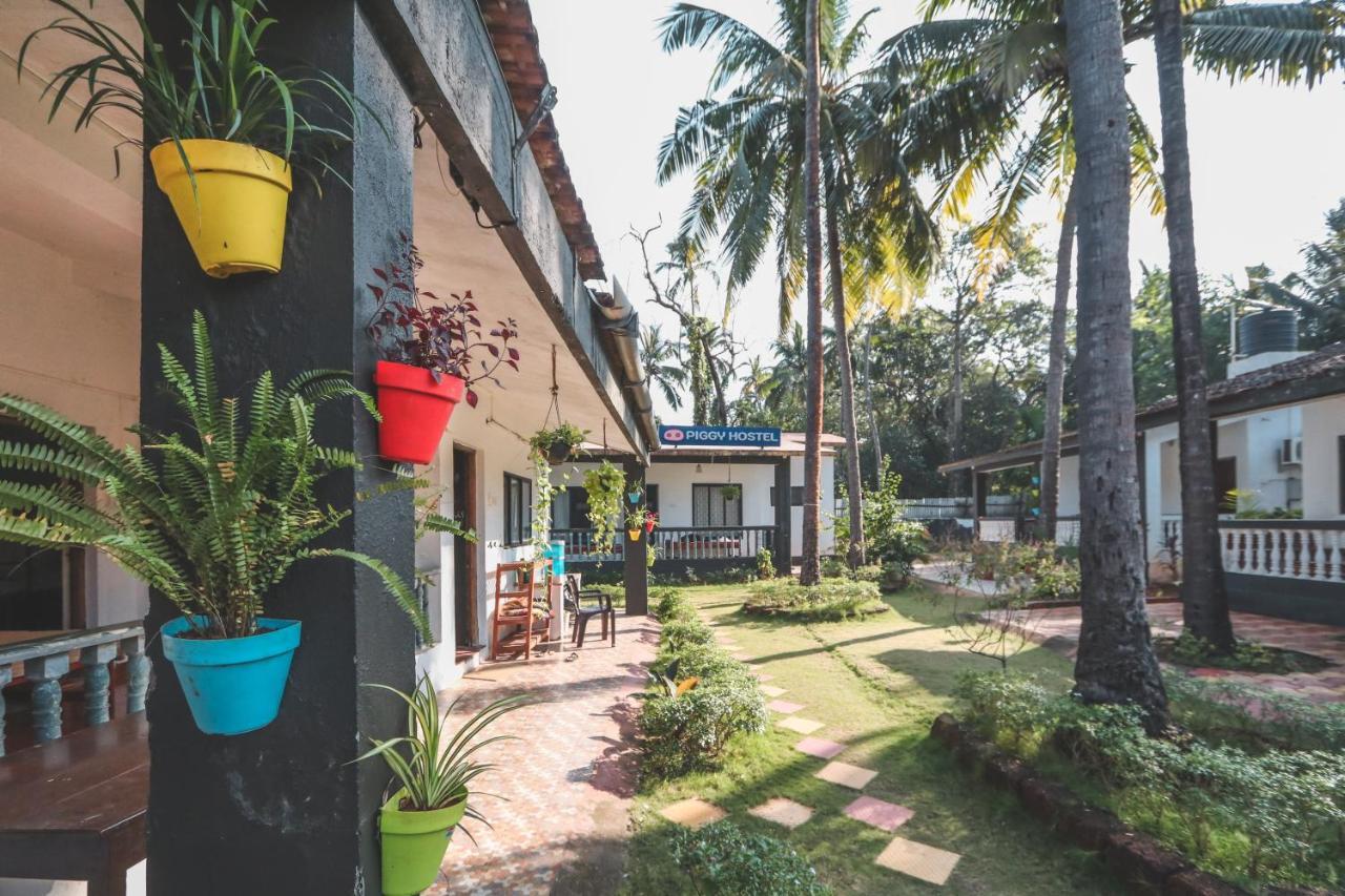 Piggy Hostel Vagator Bagian luar foto